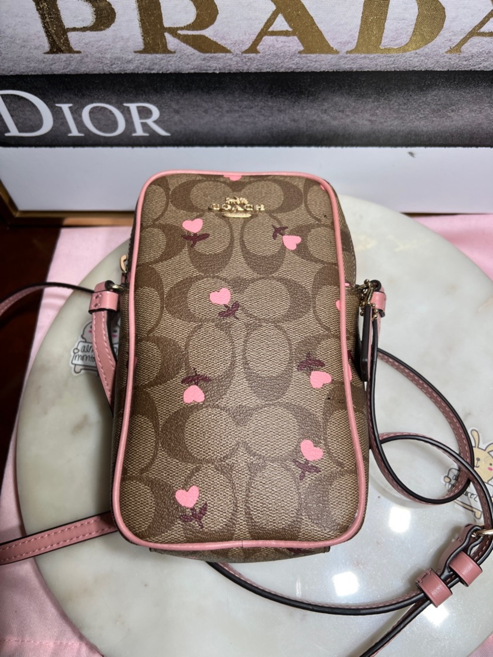 Coach North/South Zip Crossbody
In Signature Canvas With Heart Floral Print - Picture 9 of 11